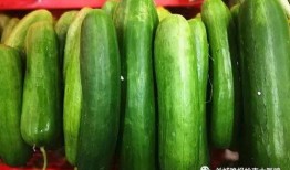 直播吃熟瓜,现场品尝熟瓜的诱人魅力