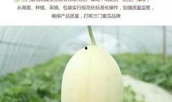 台州吃瓜直播间,揭秘台州本土美食与趣闻