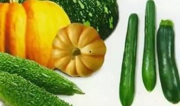 刘月吃瓜,揭秘娱乐圈背后的那些事儿