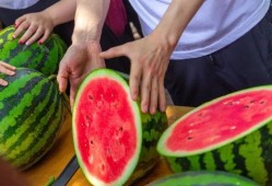 吃瓜小熊深圳大学,深圳大学校园生活趣事集锦