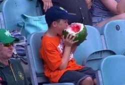 吃瓜群众男生,揭秘校园里的“瓜田”趣事