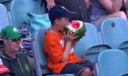 吃瓜群众男生,揭秘校园里的“瓜田”趣事