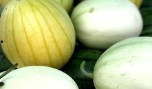 吃瓜品经典,揭秘娱乐圈背后的故事与真相