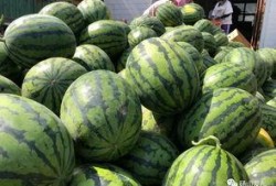 砀山吃瓜新闻,一场引发热议的乡村奇闻