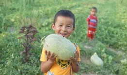 小樊吃瓜版,揭秘娱乐圈幕后故事