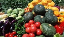 17个吃瓜图片,娱乐圈吃瓜大事件，真相与笑料齐飞