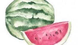 同台吃瓜,笑谈娱乐圈风云变幻