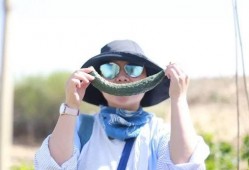 跟着王导吃瓜,揭秘娱乐圈那些事儿