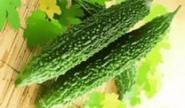 春吃野菜夏吃瓜,春尝野菜，夏品瓜果