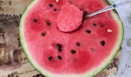 开始吃瓜,揭秘娱乐圈的幕后故事