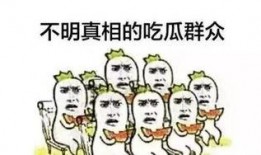 呆瓜能当瓜吃吗,探索奇特食材的食用可能性