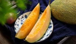 几月份可以吃瓜