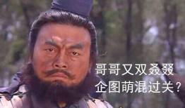 吃亏吃瓜,揭秘生活中的智慧与幽默