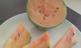 吃瓜的瓜不一样,不同瓜类背后的故事与魅力