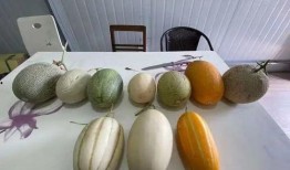 杭州吃瓜的视频,一网打尽本地美食风情