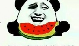 喂你吃瓜搞笑评论