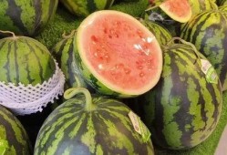 天天吃瓜的,天天吃瓜，揭秘明星幕后故事