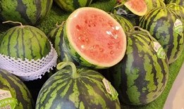 天天吃瓜的,天天吃瓜，揭秘明星幕后故事