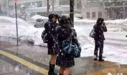 qq吃瓜群众裙,网络社交的趣味与争议