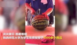 学校教师吃瓜视频大全,吃瓜视频大全集锦