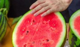 吃瓜小熊深圳大学,深圳大学校园生活趣事集锦