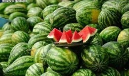 新版421吃瓜手册,揭秘娱乐圈最新八卦风云