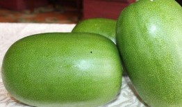 男人吃瓜好吗,揭秘男性在娱乐八卦中的独特魅力