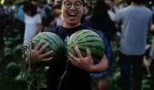 学校吃瓜事件合集,揭秘学校吃瓜事件合集