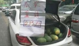 吃瓜大汽车,揭秘汽车界的“瓜田”趣事