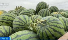 玉田吃瓜吗,揭秘吃瓜群众的趣味生活