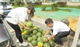 吃瓜自由店,揭秘网红美食背后的秘密