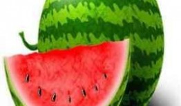 吃了小瓜吃大瓜会胖吗,吃瓜减肥两不误？揭秘吃瓜与体重关系