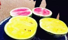 吃瓜爆料社区,网络舆论场上的风云变幻