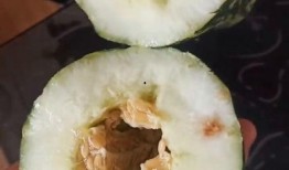 跟朋友说吃瓜,跟随朋友一起吃瓜，探寻明星幕后故事