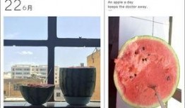 吃瓜excle,揭秘娱乐圈幕后故事