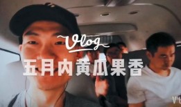 主播带你吃大瓜,揭秘网红主播带你品尝娱乐圈大瓜盛宴