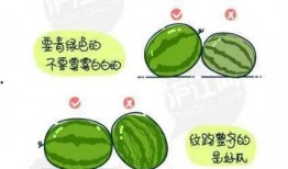 吃瓜资源墙Q,带你领略网络世界的趣味与真相