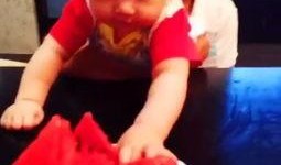 程程吃瓜妹,揭秘娱乐圈幕后故事