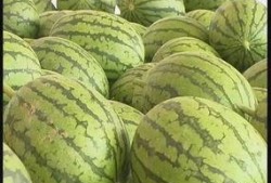 吃瓜观察线,揭秘娱乐圈幕后真相