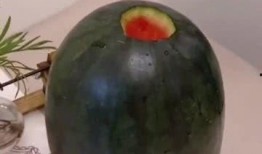 西瓜吃瓜啤酒图片大全,西瓜吃瓜啤酒欢乐时光图鉴