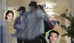 郑恺打赌苗苗吃瓜,甜蜜互动引网友热议