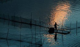 吃瓜听雨看风景,悠然赏景度时光