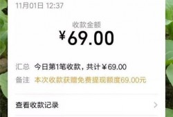 扫码吃瓜违法吗,法律边界与风险探讨