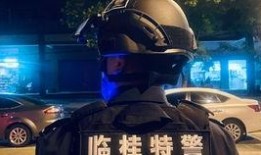 吃瓜自取vlog,揭秘幕后故事，带你走进真实生活