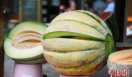 在飞机上吃瓜,瓜果飘香，云端共享美味