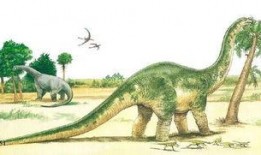 恐龙吃瓜视频,揭秘恐龙与“瓜果”的神秘邂逅