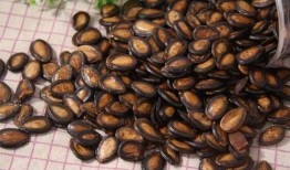 吃瓜图吃瓜子,吃瓜图中的瓜子时光