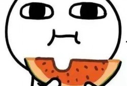 伴侣吃瓜,揭秘甜蜜背后的秘密生活