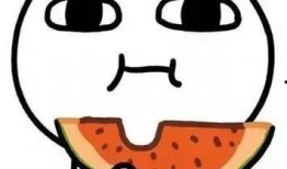 伴侣吃瓜,揭秘甜蜜背后的秘密生活