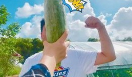 网红吃瓜爆料,娱乐圈幕后真相大曝光！